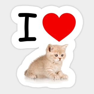 I HEART CUTE FLUFFY TABBY KITTEN Sticker